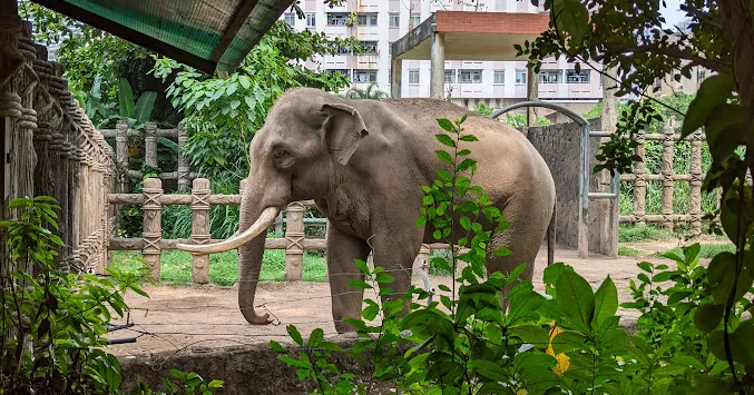 Thảo Cầm Viên Sài Gòn