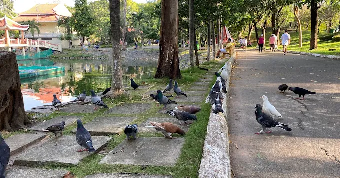Công viên Thỏ Trắng - Công viên Lê Thị Riêng