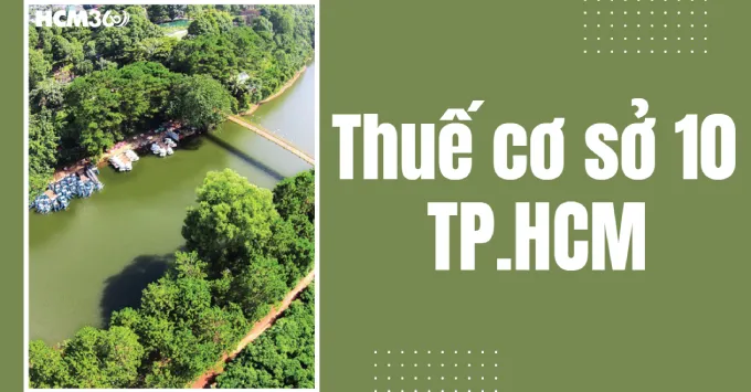 Địa chỉ, Số điện thoại Thuế cơ sở 10 TP.HCM năm 2026