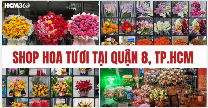 Top 7+ shop hoa tươi ở quận 8 chất lượng, giá tốt năm 2026