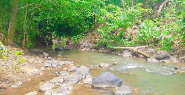 Ẩm thực và giải trí tại xã Bàu Lâm sau sáp nhập