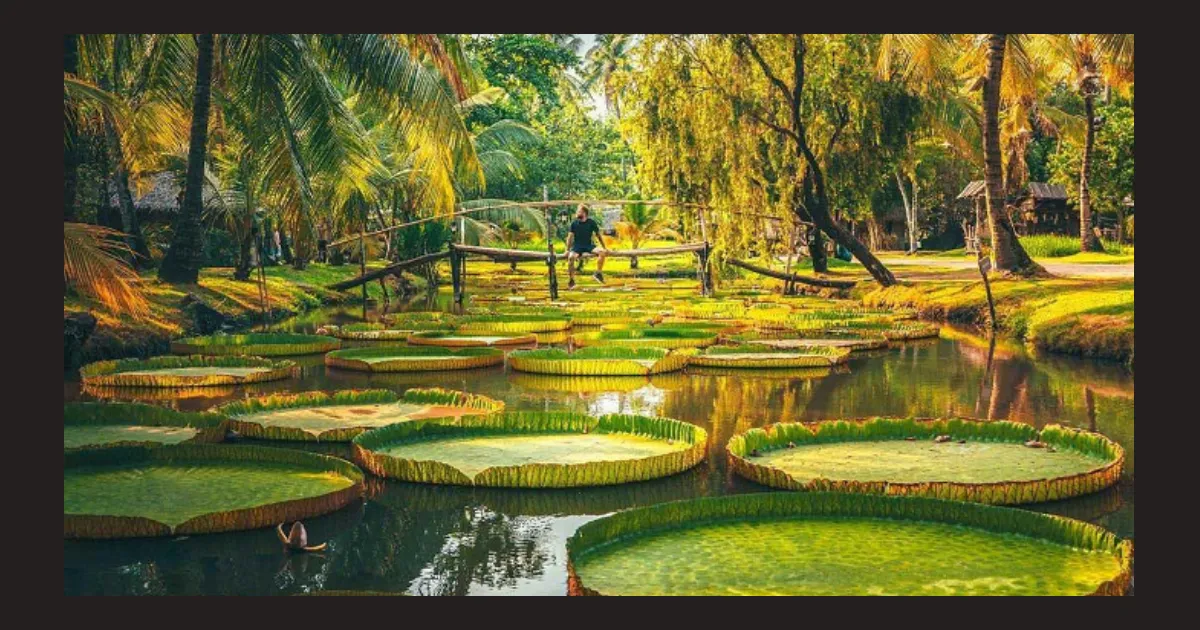 Câu cá tại khu du lịch Văn Thánh