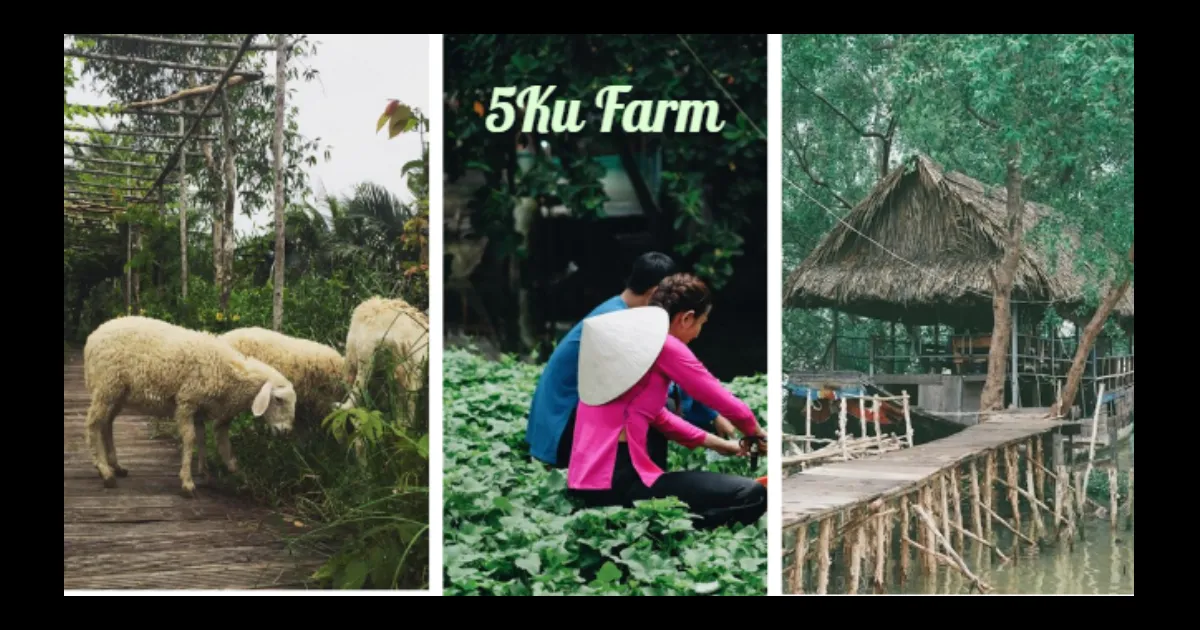 5ku Farm - Địa điểm Picnic tại TP. HCM