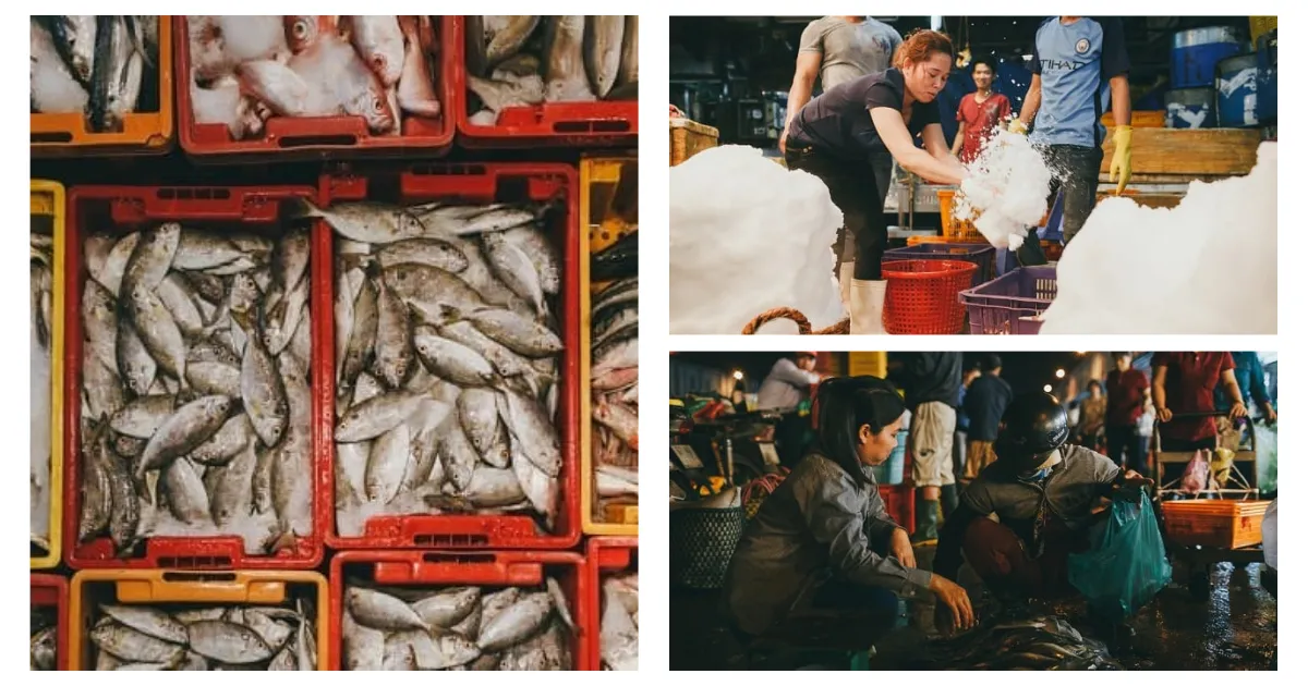 Hải sản tươi sống và đa dạng tại Chợ Đầu Mối Bình Điền